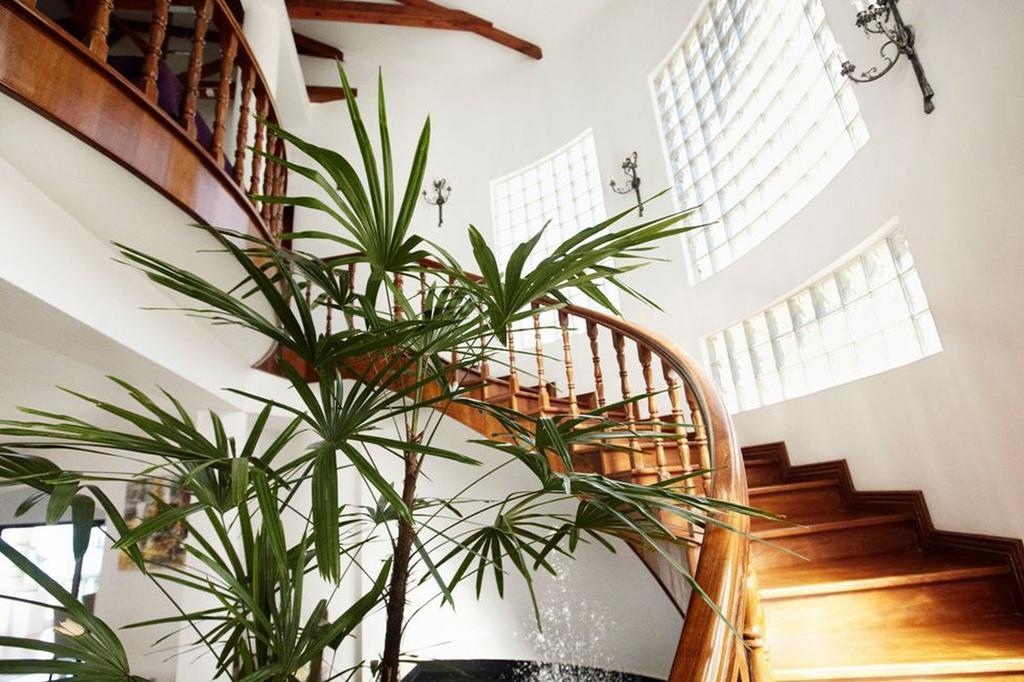 Petit Amour Villa Гласи Экстерьер фото